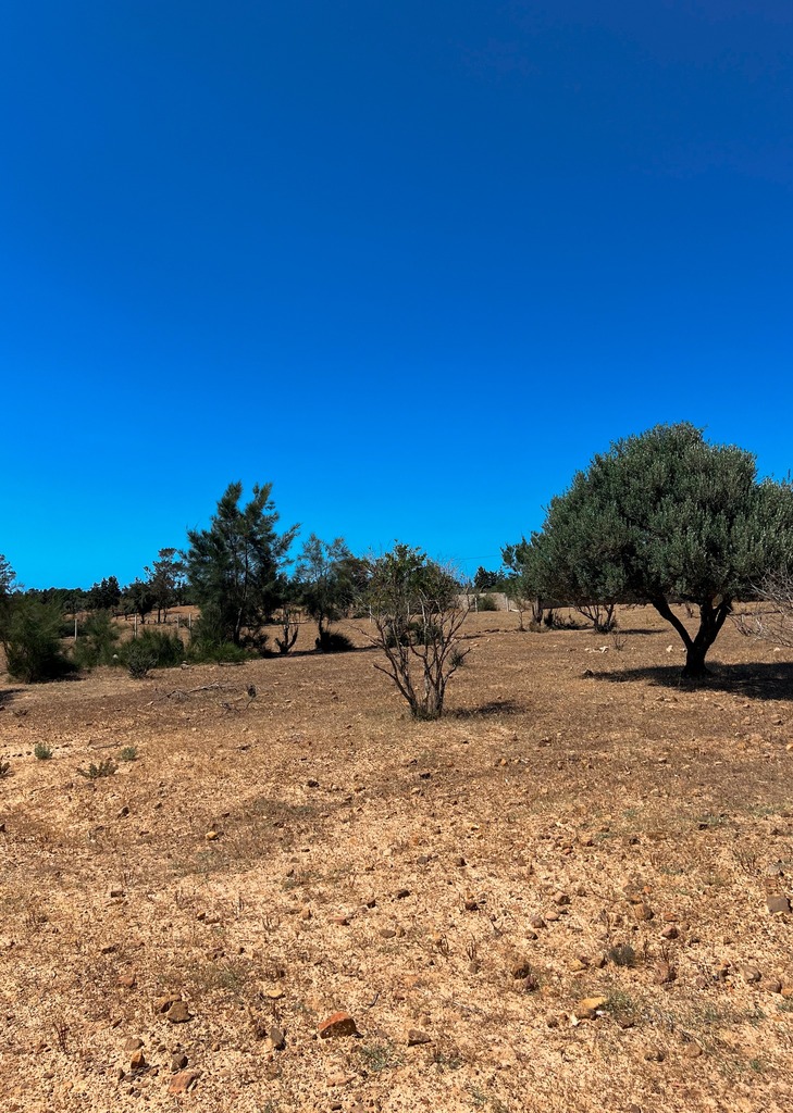 Terrain Rtiba - Foret