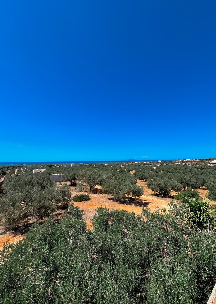 Terrain Rtiba - Montagne