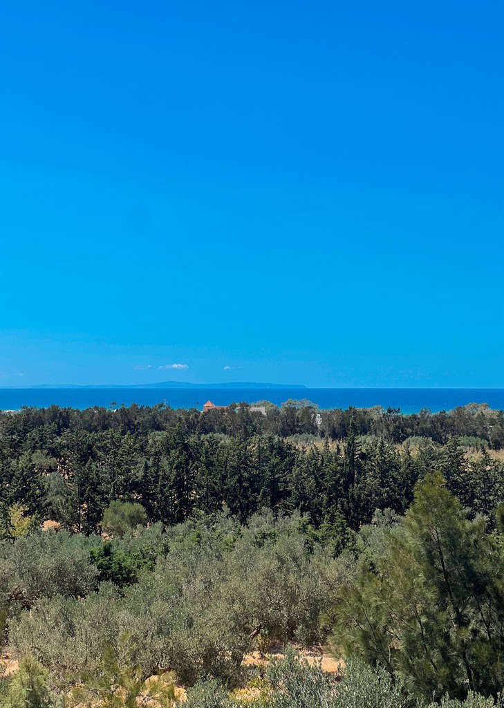 Terrain Rtiba - Vue Mer